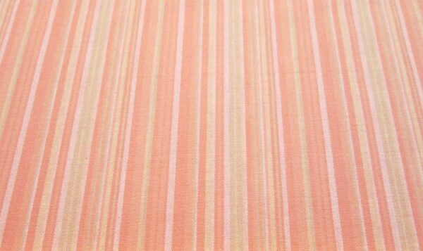 Salmon tan Stripes