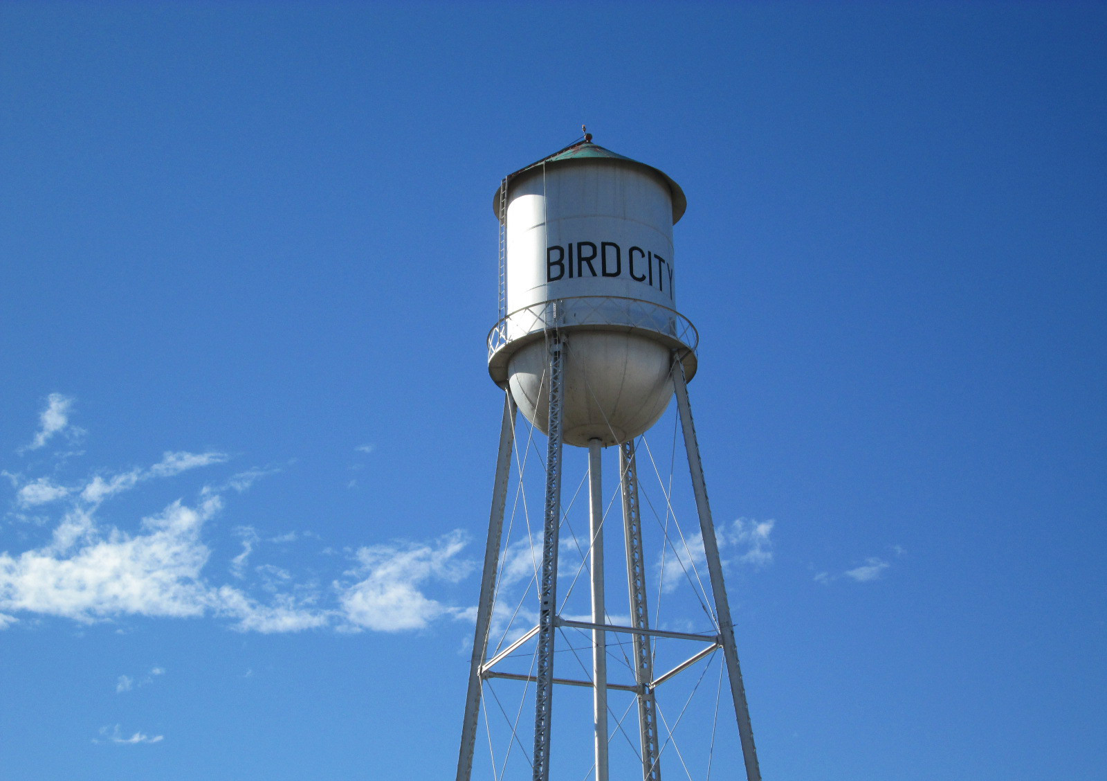 Bird City Water Tower